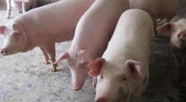 1666797614294790.jpg 001.jpg