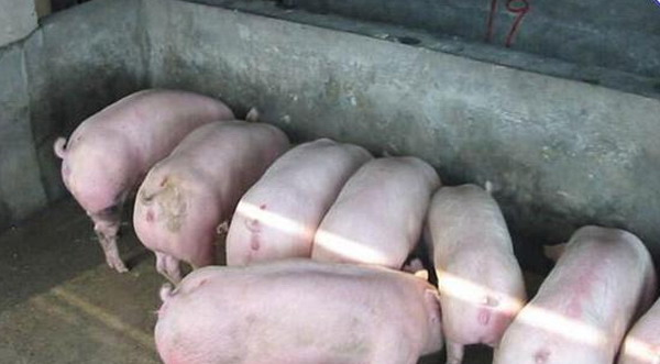 1666797622483072.jpg 002.jpg