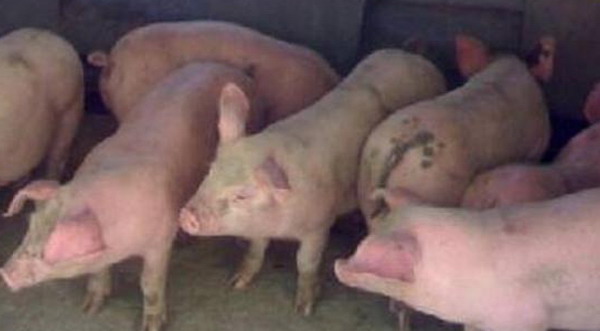 1666797629492130.jpg 003.jpg